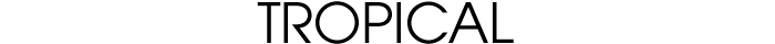 MIRROR FRAMES